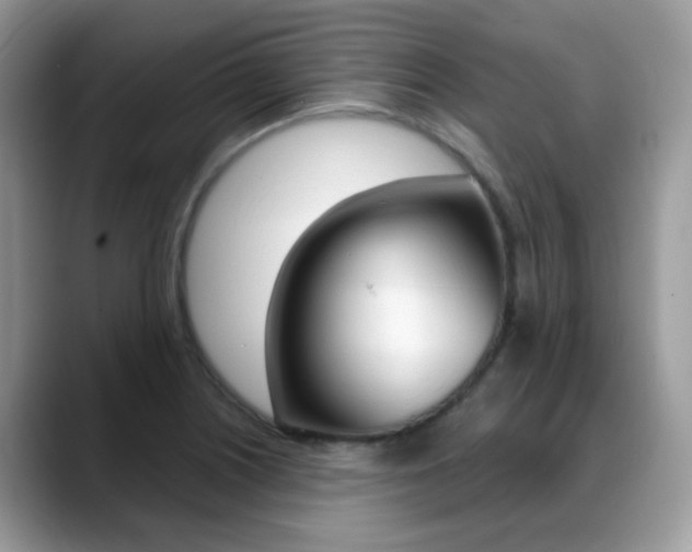 X0000088881226200706080734
