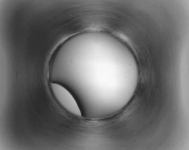 X0000088881227200706080734