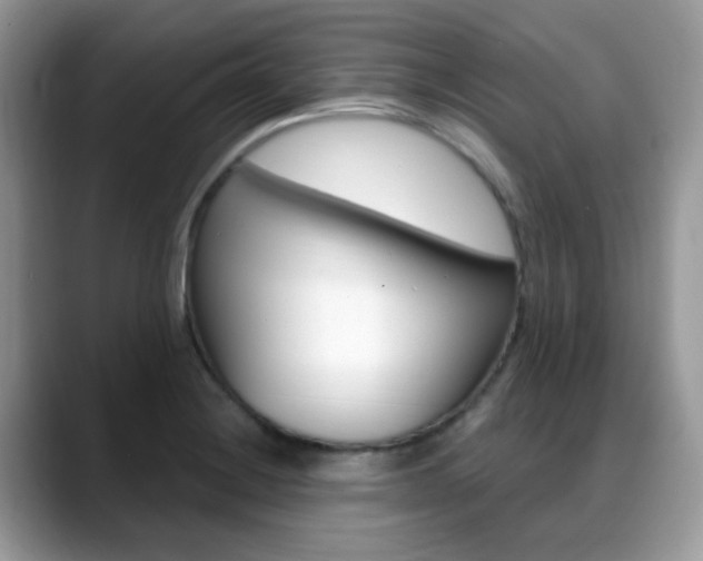 X0000088881228200706080734