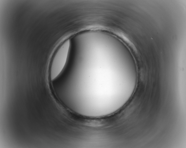 X0000088881229200706080734