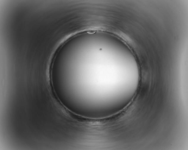 X0000088881230200706080734