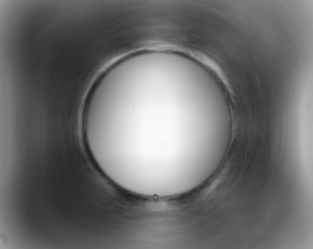 X0000088881231200706080734