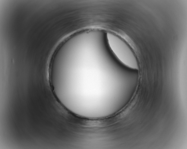 X0000088881232200706080734