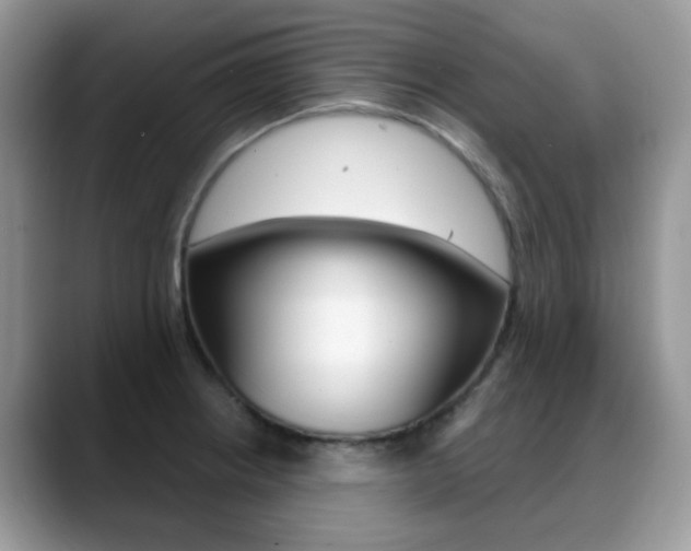 X0000088881234200706080734