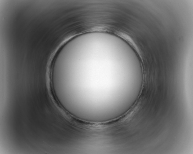 X0000088881235200706080734