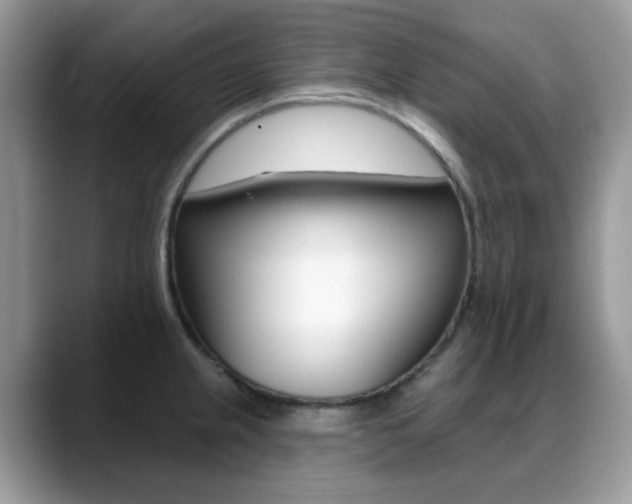 X0000088881237200706080734