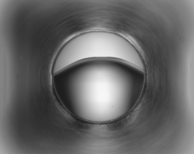 X0000088881238200706080734