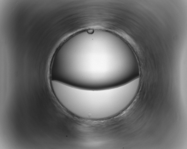 X0000088881240200706080734