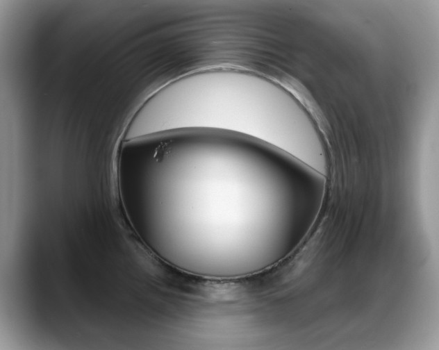 X0000088881242200706080734