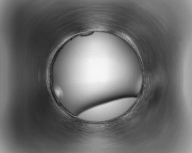 X0000088881243200706080734