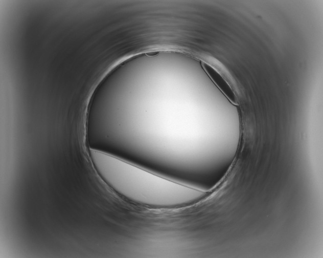 X0000088881244200706080734