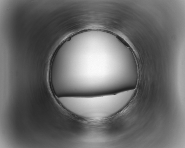 X0000088881245200706080734