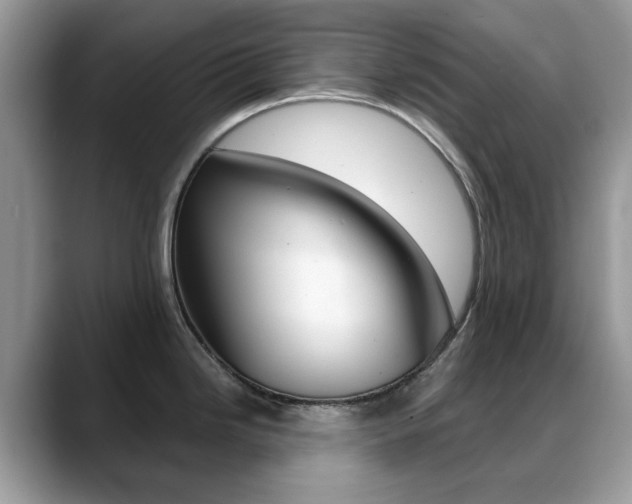 X0000088881246200706080735