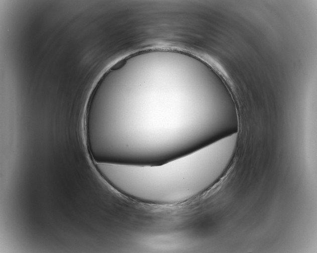 X0000088881247200706080735