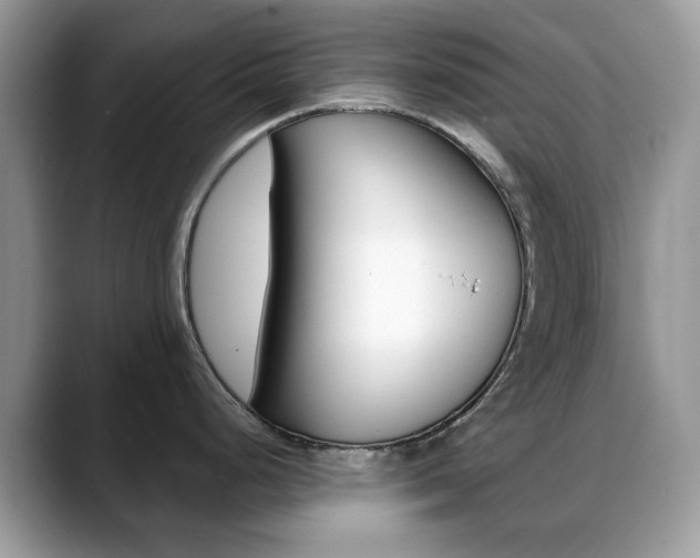 X0000088881248200706080735