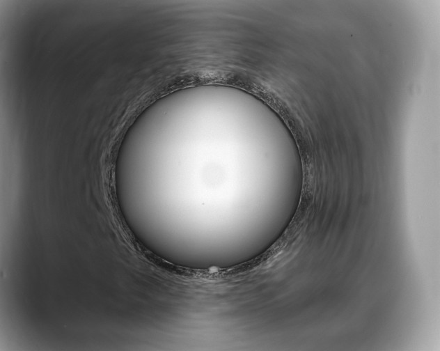 X0000088881249200706080734