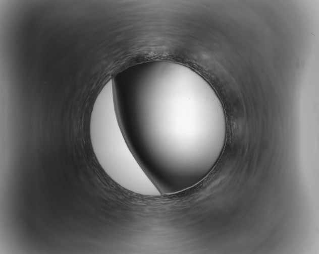 X0000088881250200706080734
