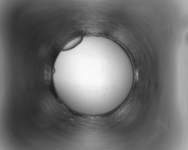 X0000088881251200706080734