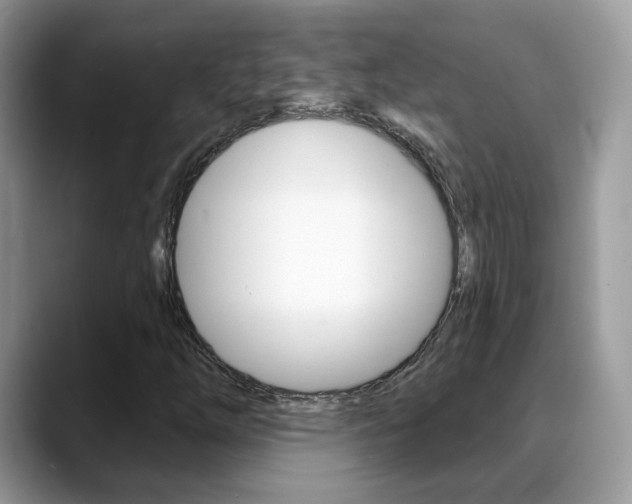X0000088881254200706080734