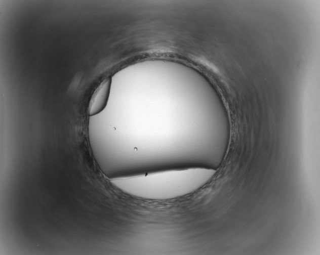 X0000088881255200706080734
