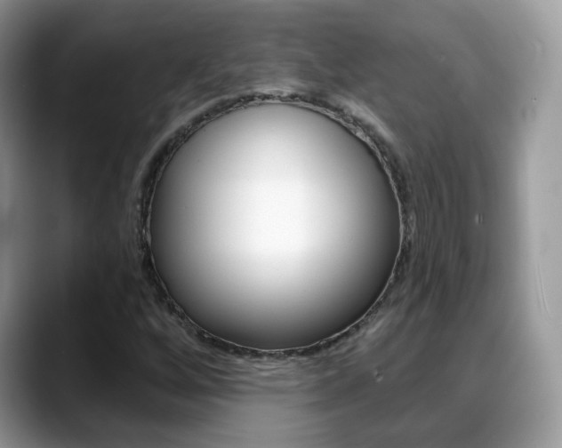 X0000088881256200706080734