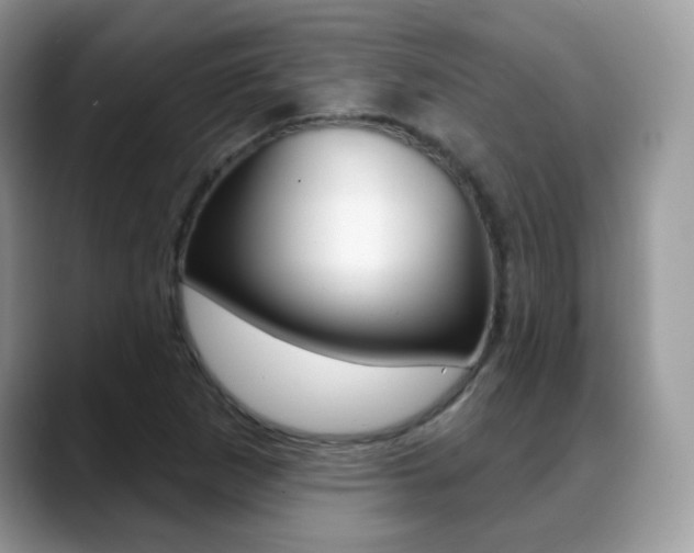 X0000088881265200706080734