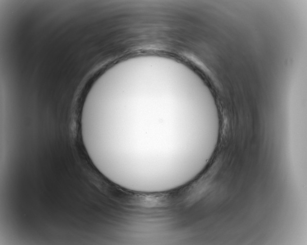 X0000088881266200706080734