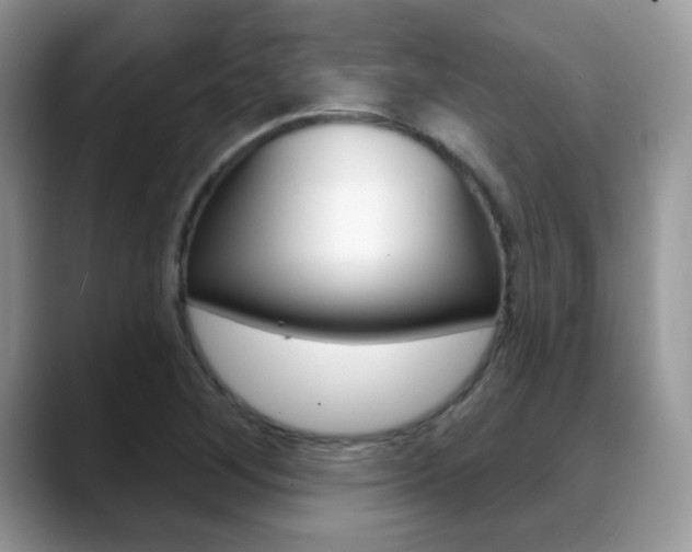 X0000088881268200706080734