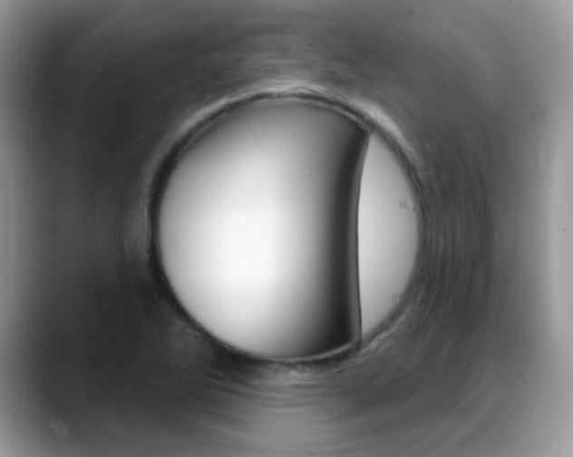 X0000088881270200706080734