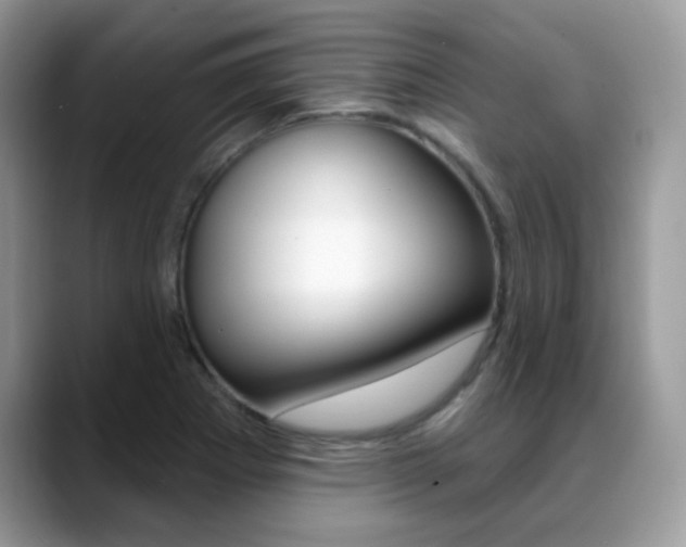 X0000088881273200706080734