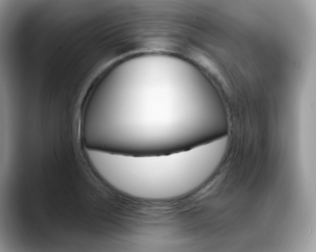X0000088881275200706080734