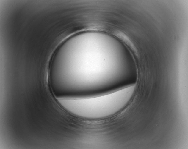 X0000088881276200706080734