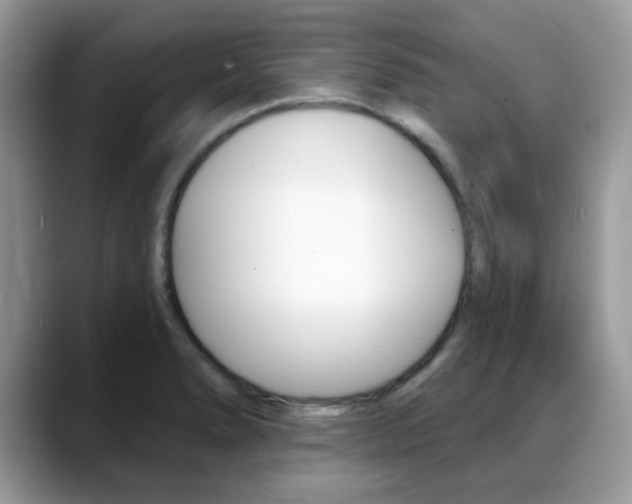 X0000088881278200706080734