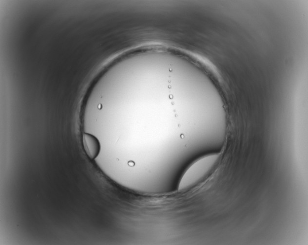 X0000088881279200706080734
