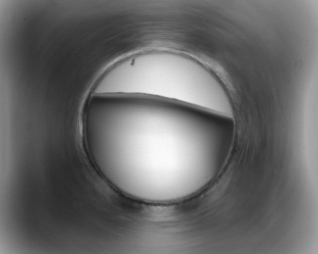 X0000088881280200706080734