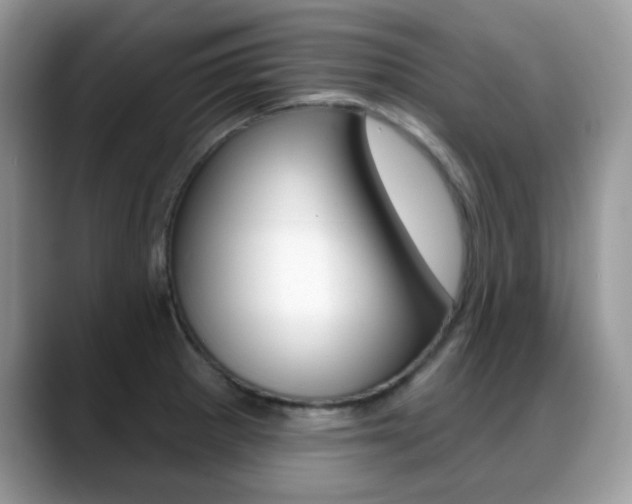 X0000088881281200706080733