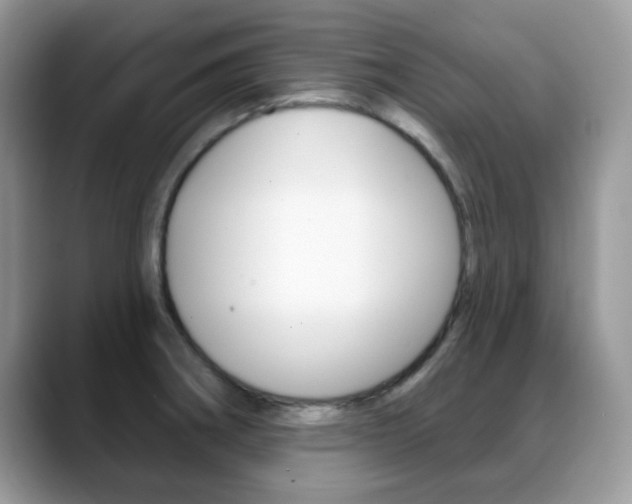 X0000088881282200706080733