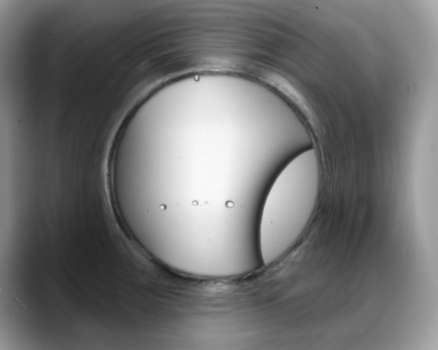 X0000088881283200706080733
