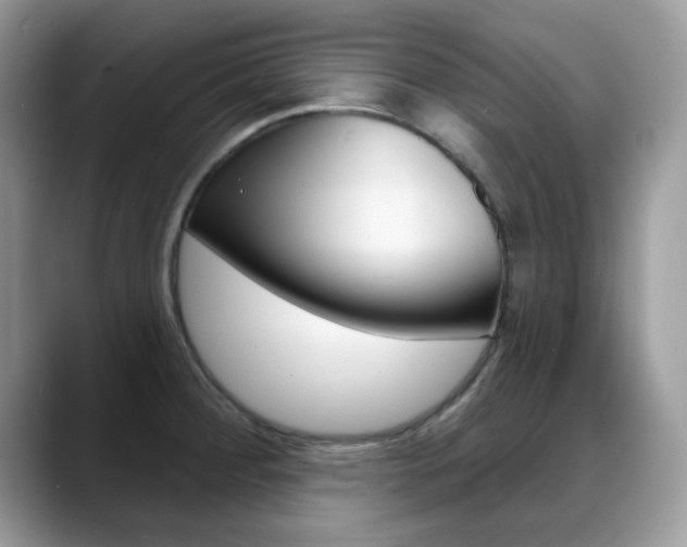 X0000088881284200706080733