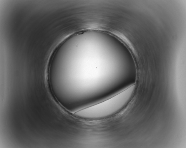 X0000088881285200706080733