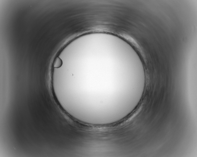 X0000088881286200706080733