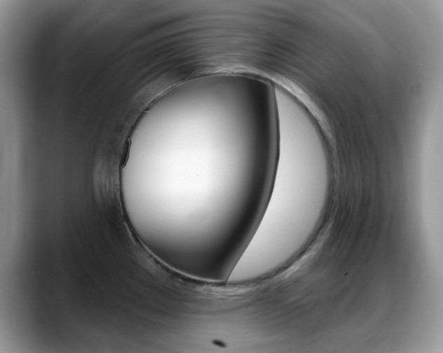 X0000088881289200706080733