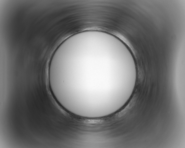 X0000088881290200706080733
