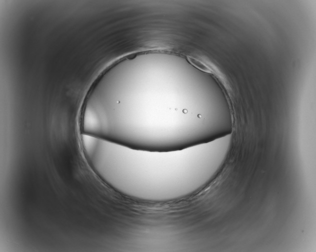 X0000088881291200706080733