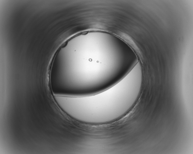 X0000088881292200706080733