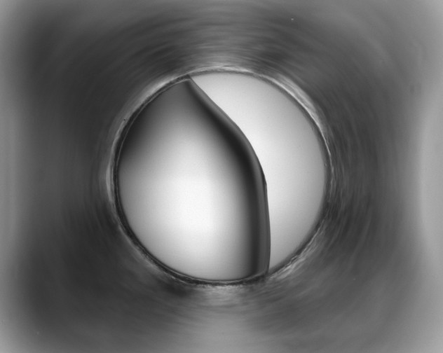 X0000088881293200706080733