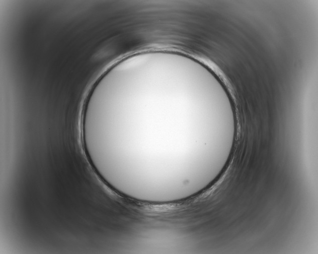 X0000088881294200706080733