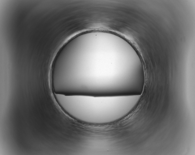 X0000088881295200706080733