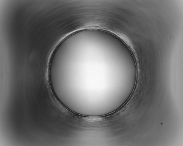 X0000088881296200706080733