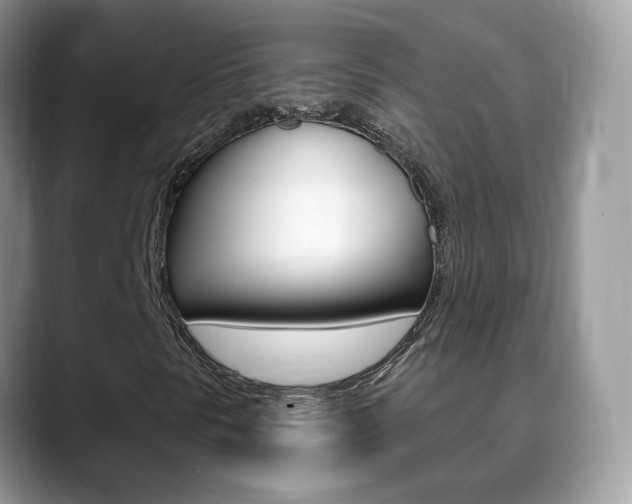 X0000088881297200706080733